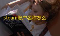 steam账户名称怎么填写